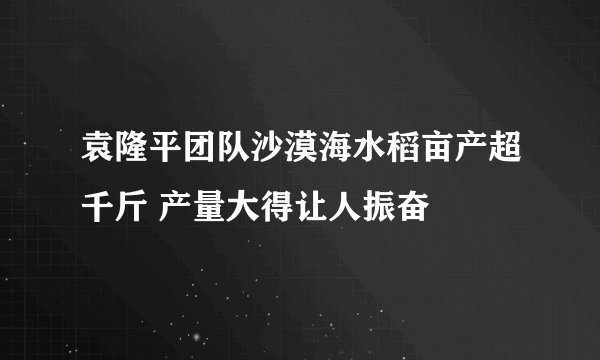 袁隆平团队沙漠海水稻亩产超千斤 产量大得让人振奋