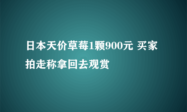 日本天价草莓1颗900元 买家拍走称拿回去观赏