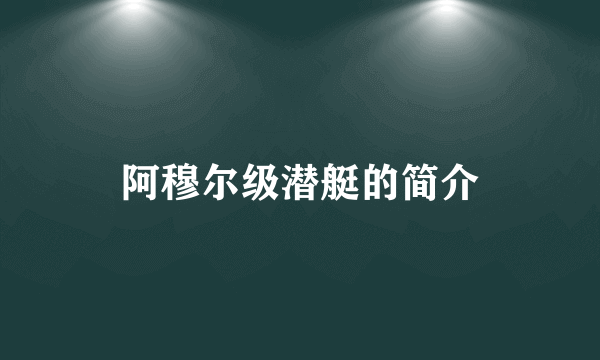 阿穆尔级潜艇的简介