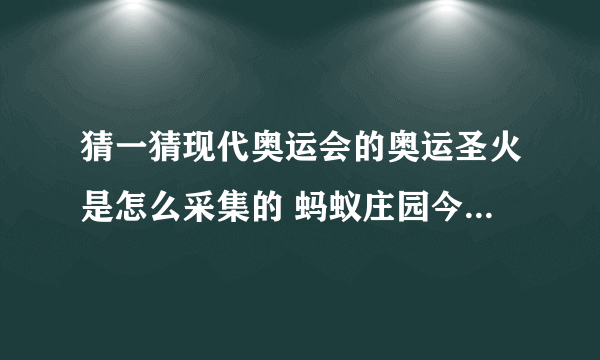 猜一猜现代奥运会的奥运圣火是怎么采集的 蚂蚁庄园今日答案早知道8月3日