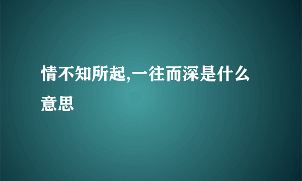 情不知所起,一往而深是什么意思