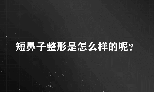 短鼻子整形是怎么样的呢？