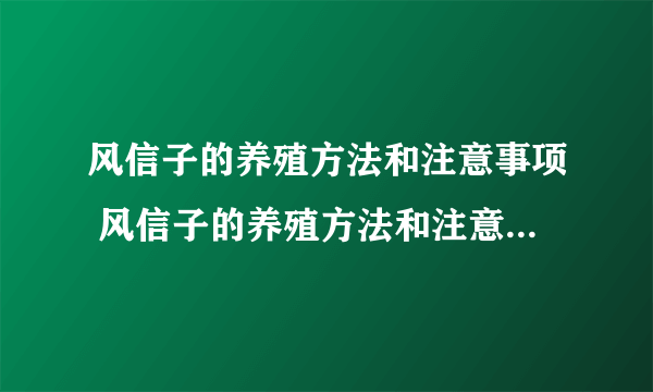 风信子的养殖方法和注意事项 风信子的养殖方法和注意事项有哪些