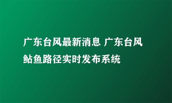 广东台风最新消息 广东台风鲇鱼路径实时发布系统