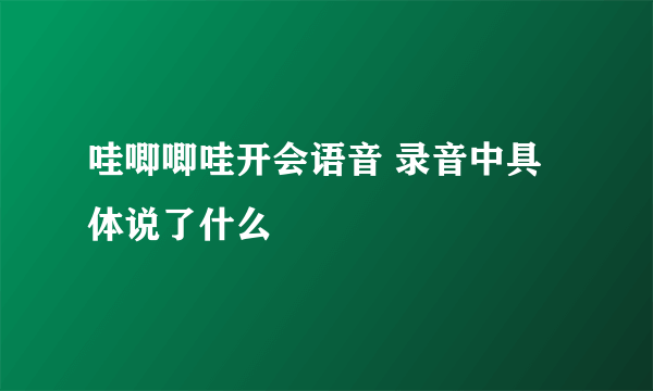 哇唧唧哇开会语音 录音中具体说了什么