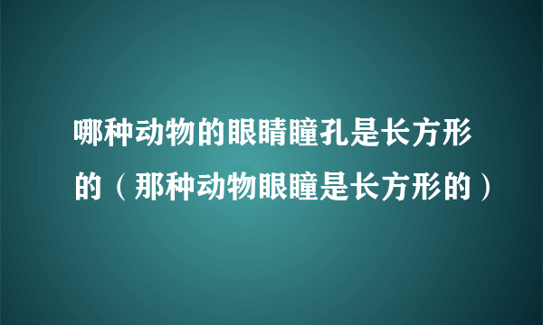 哪种动物的眼睛瞳孔是长方形的（那种动物眼瞳是长方形的）