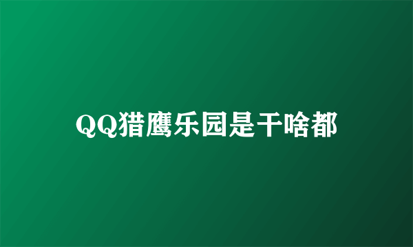 QQ猎鹰乐园是干啥都