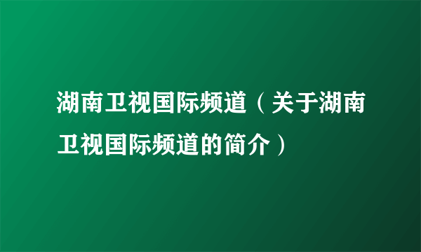 湖南卫视国际频道（关于湖南卫视国际频道的简介）