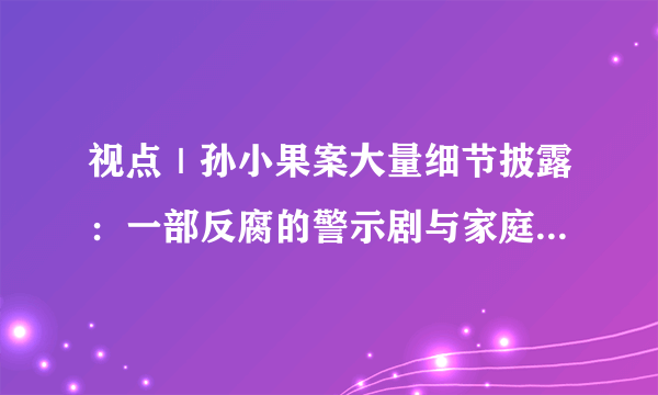 视点｜孙小果案大量细节披露：一部反腐的警示剧与家庭教育的悲剧