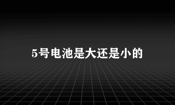 5号电池是大还是小的