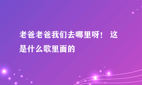 老爸老爸我们去哪里呀！ 这是什么歌里面的