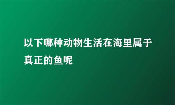 以下哪种动物生活在海里属于真正的鱼呢