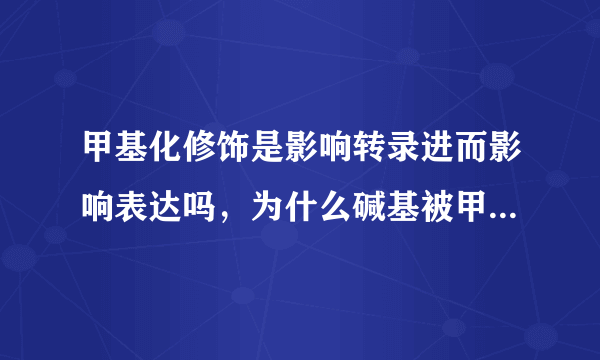 甲基化修饰是影响转录进而影响表达吗，为什么碱基被甲基化酶甲基化修饰后限制酶识别不了了？