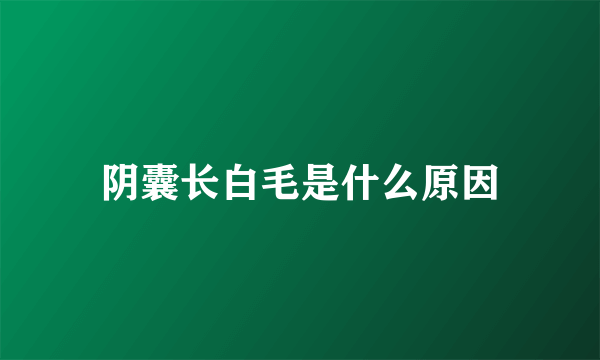 阴囊长白毛是什么原因