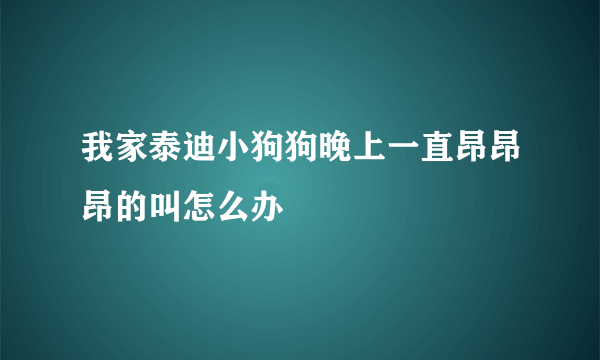 我家泰迪小狗狗晚上一直昂昂昂的叫怎么办