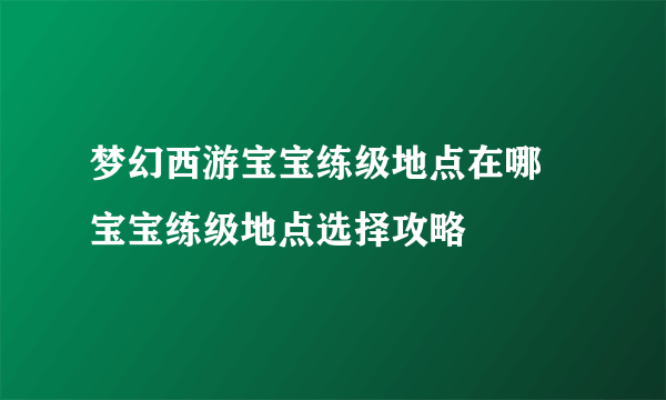 梦幻西游宝宝练级地点在哪 宝宝练级地点选择攻略