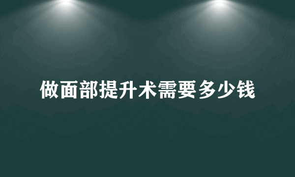 做面部提升术需要多少钱