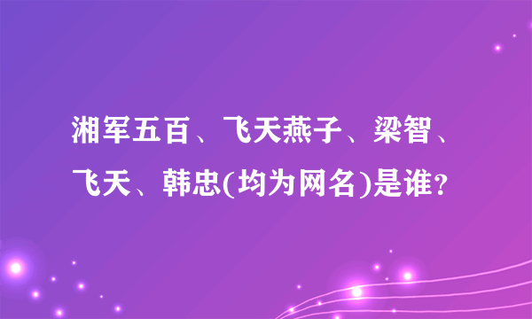 湘军五百、飞天燕子、梁智、飞天、韩忠(均为网名)是谁？