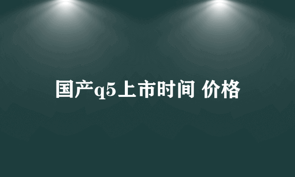 国产q5上市时间 价格