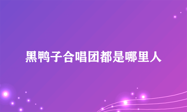 黑鸭子合唱团都是哪里人