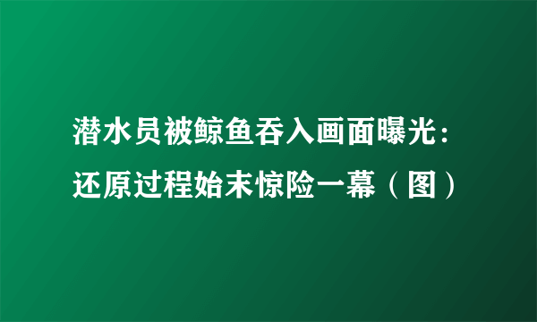 潜水员被鲸鱼吞入画面曝光：还原过程始末惊险一幕（图）