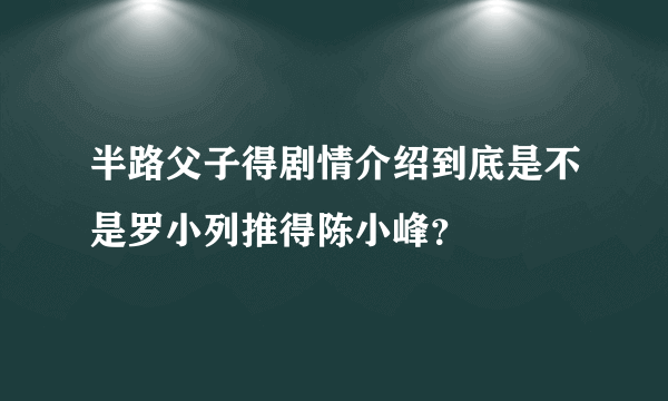 半路父子得剧情介绍到底是不是罗小列推得陈小峰？