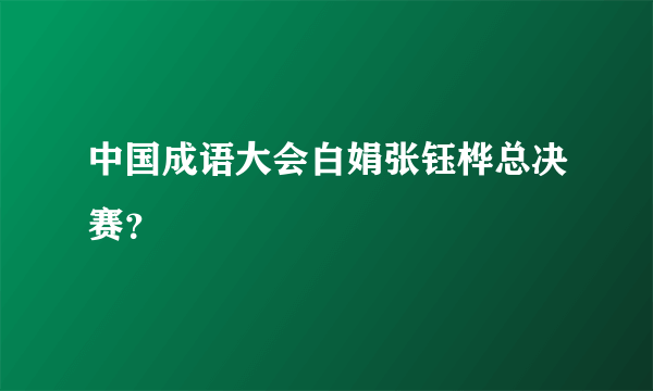 中国成语大会白娟张钰桦总决赛？