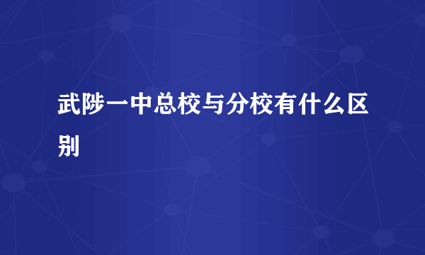 武陟一中总校与分校有什么区别