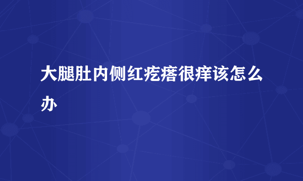 大腿肚内侧红疙瘩很痒该怎么办