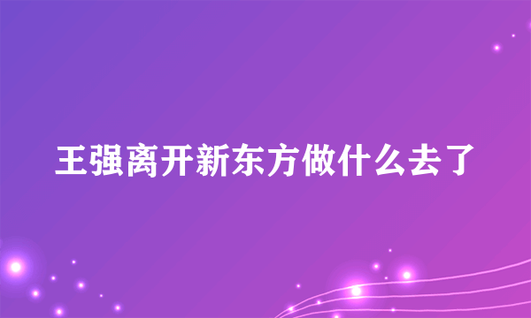 王强离开新东方做什么去了