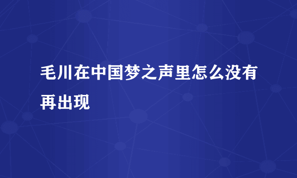 毛川在中国梦之声里怎么没有再出现