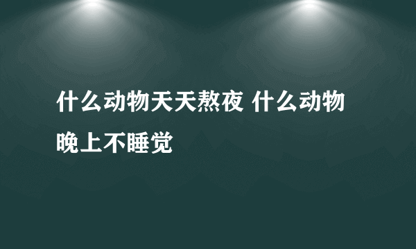 什么动物天天熬夜 什么动物晚上不睡觉