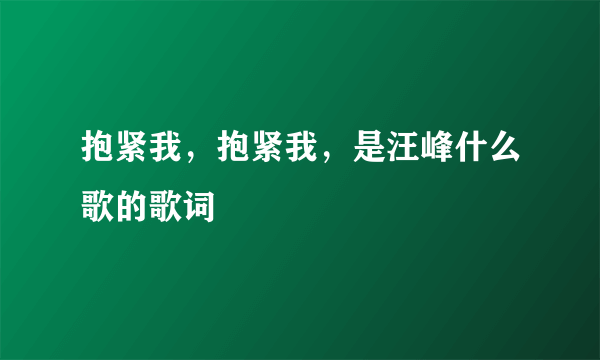 抱紧我，抱紧我，是汪峰什么歌的歌词