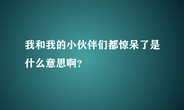 我和我的小伙伴们都惊呆了是什么意思啊？