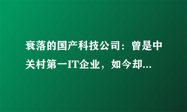 衰落的国产科技公司：曾是中关村第一IT企业，如今却在做开关插座