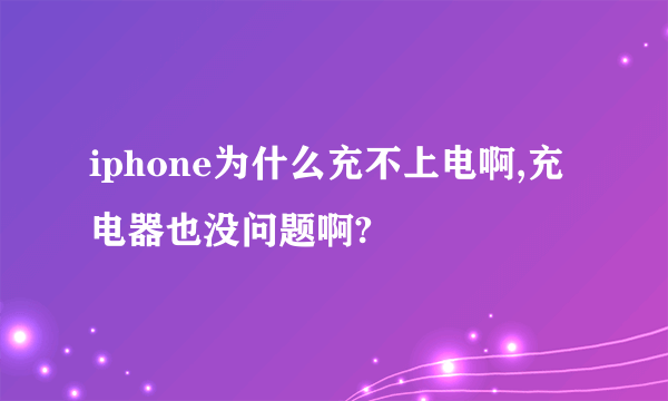 iphone为什么充不上电啊,充电器也没问题啊?