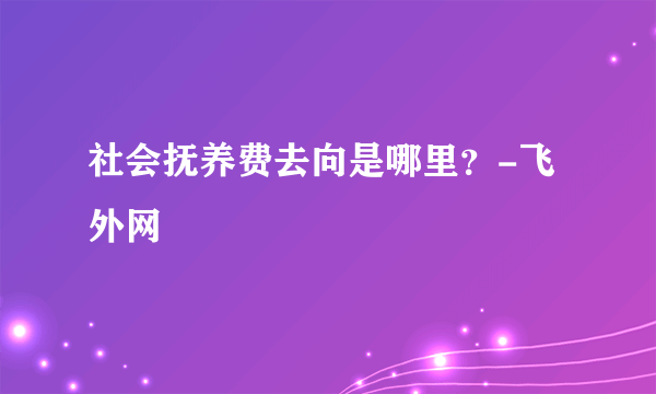 社会抚养费去向是哪里？-飞外网