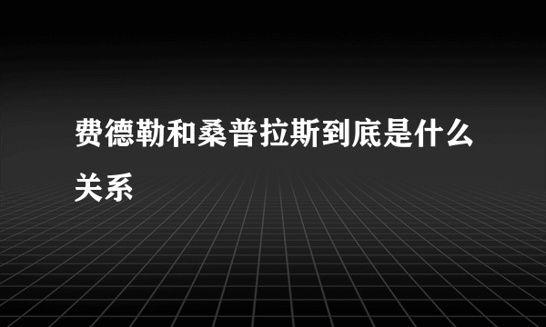 费德勒和桑普拉斯到底是什么关系