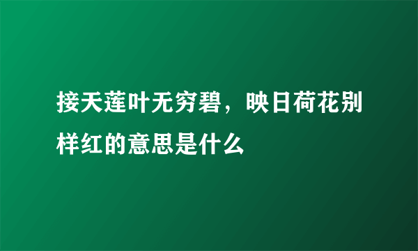 接天莲叶无穷碧，映日荷花别样红的意思是什么