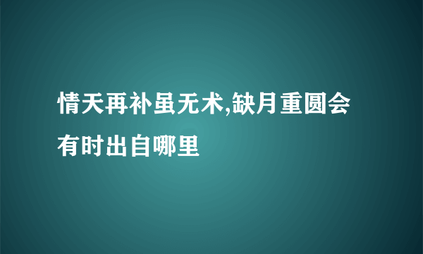 情天再补虽无术,缺月重圆会有时出自哪里