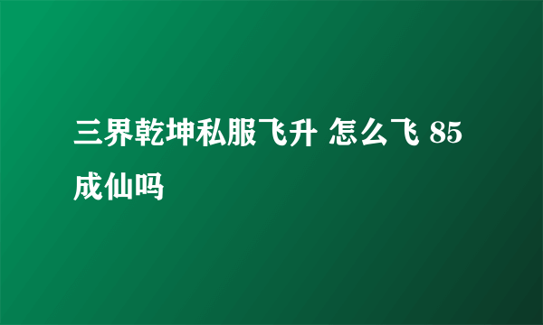 三界乾坤私服飞升 怎么飞 85成仙吗