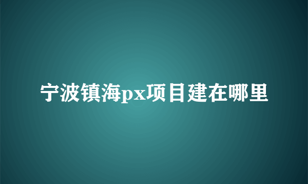 宁波镇海px项目建在哪里