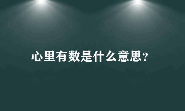 心里有数是什么意思？