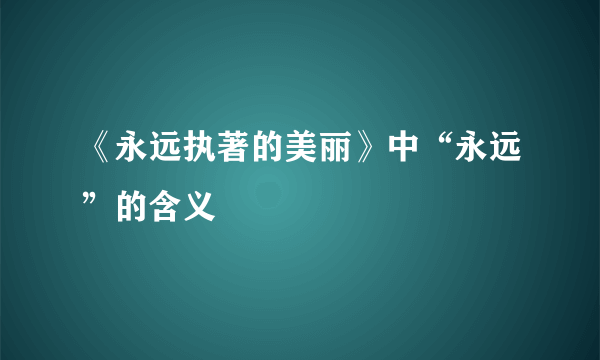 《永远执著的美丽》中“永远”的含义