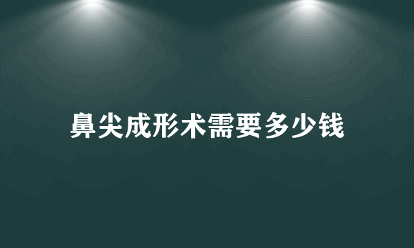 鼻尖成形术需要多少钱