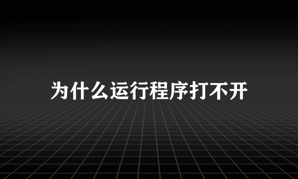 为什么运行程序打不开