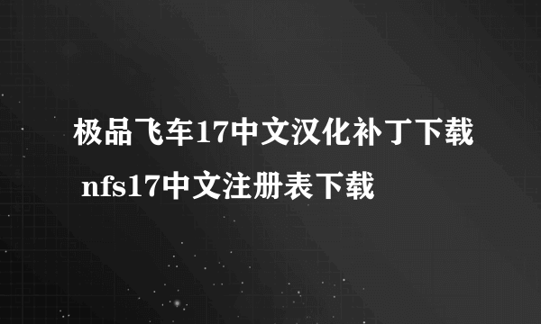 极品飞车17中文汉化补丁下载 nfs17中文注册表下载