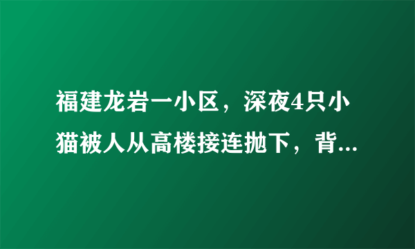 福建龙岩一小区，深夜4只小猫被人从高楼接连抛下，背后之人究竟有多残忍？