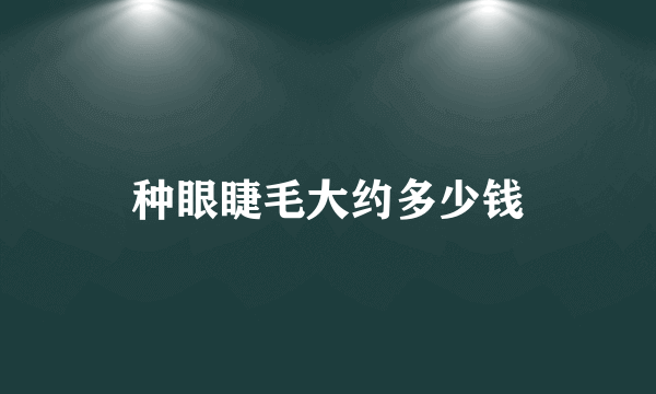 种眼睫毛大约多少钱