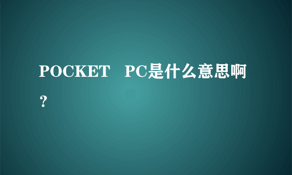 POCKET   PC是什么意思啊？